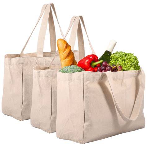 Canvas Grocery Bags | Reusable Cotton Grocery … - raincitystudios.com