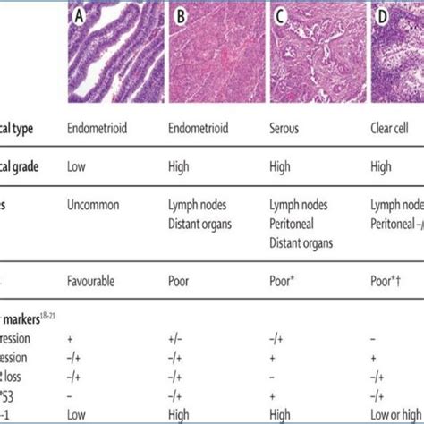 CAP Explanatory Notes for Endometrium Carcinoma Embedded in an EMR