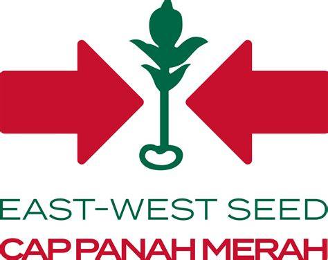 CAP PANAH MERAH - 40 BUTIR BENIH MELON MADESTA F1 … - raincitystudios.com