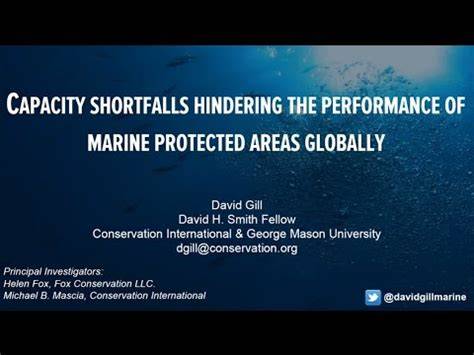 Capacity shortfalls hinder the performance of marine … - raincitystudios.com
