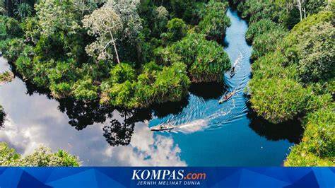 Capaian Proyek Restorasi Ekosistem Riau Lindungi Lahan Basah di Riau - raincitystudios.com