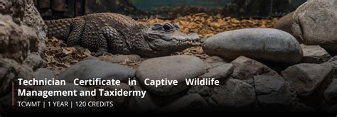 CAPTIVE WILDLIFE TOURISM IN AUSTRALIA - wintechmobiles.com