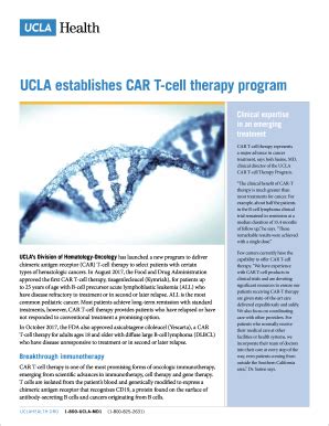 CAR T Cell Therapy Program Our program Mayo Clinic