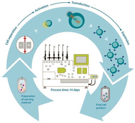 CAR-T Cell Production Using the Clinimacs ® Prodigy System