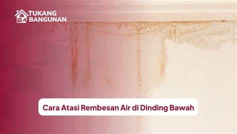 Cara Atasi Rembesan Air di Dinding Bawah - Tukang Bangunan - raincitystudios.com