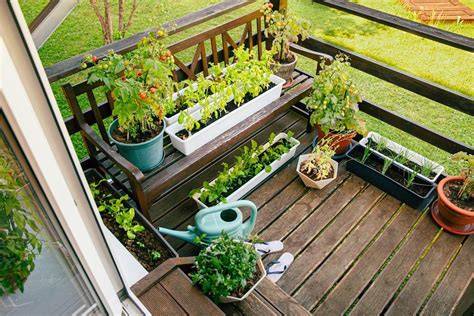 cara berkebun Archives | Faiz Alias - raincitystudios.com