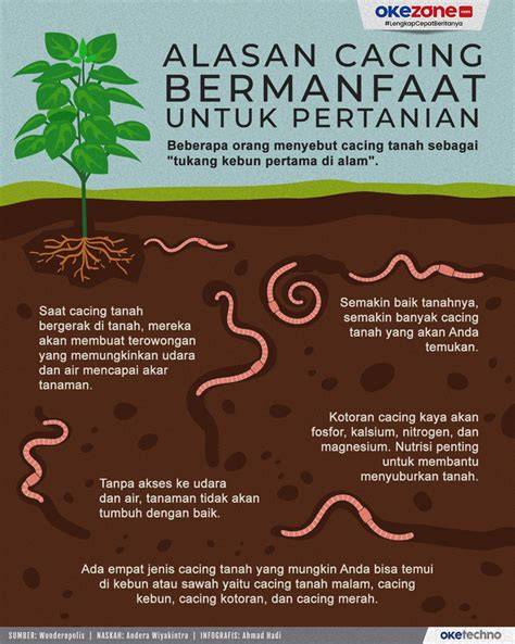 Cara Budidaya Cacing Tanah Efektif | PDF - Scribd - raincitystudios.com