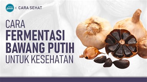 Cara Fermentasi - muktibox.com