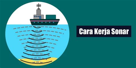 Cara Kerja Sonar - raincitystudios.com