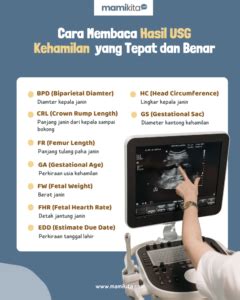 cara membaca hasil usg abdomen - elchoricharrua.com