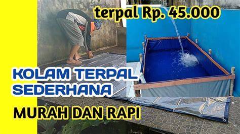 CARA MEMBUAT KOLAM TERPAL DIPEKARANGAN - raincitystudios.com