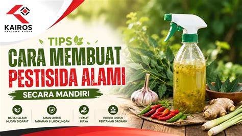 Cara Membuat Pestisida Alami untuk Taman - raincitystudios.com