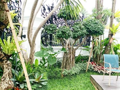 Cara Membuat Taman Klasik - Garden Center - wintechmobiles.com