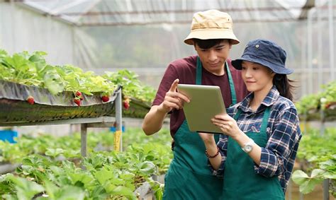 Cara Membuka Bisnis Farm Modern untuk Pemula - raincitystudios.com
