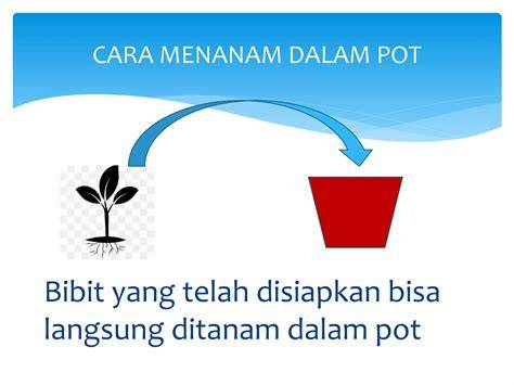 CARA MENANAM di pot atau polybag.pptx - SlideShare - raincitystudios.com