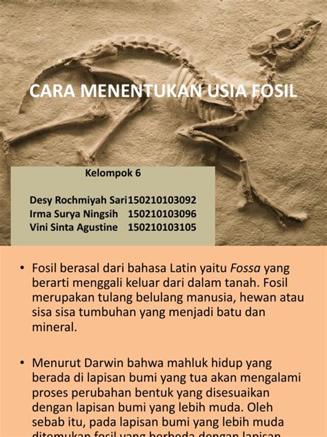 Cara Menentukan Usia Fosil - wintechmobiles.com