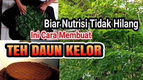 Cara Mengolah Daun Jalantir - raincitystudios.com