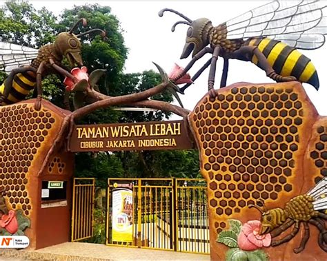 Cara Menikmati Pengalaman Tak Terlupakan di Taman Wisata Lebah - raincitystudios.com