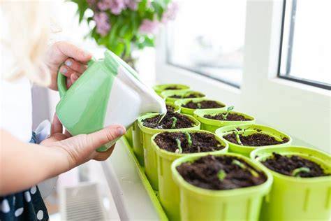 Cara Menyemai Bibit di Dalam Ruangan - wikiHow - raincitystudios.com
