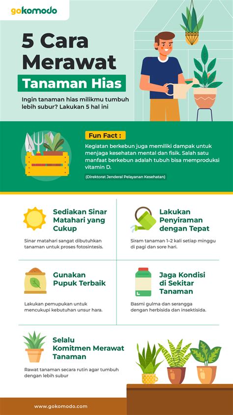 Cara Merawat & Menyimpan Senapan Angin, Agar … - muktibox.com