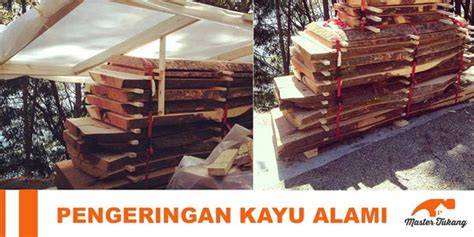 Cara Pengeringan Kayu - raincitystudios.com