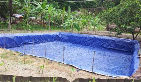 CARA TAMBAL KOLAM TERPAL BOCOR CEPAT … - raincitystudios.com
