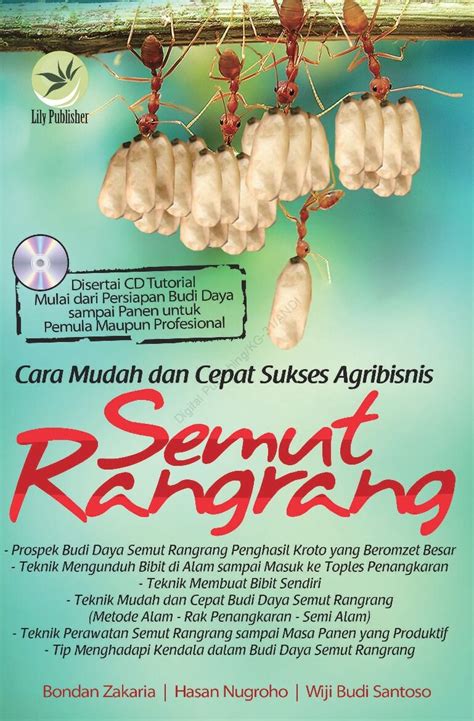 Cara Ternak Rangrang - Ternak Info Mania - raincitystudios.com