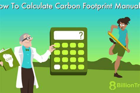 Carbon Calculator - Rombus Industries - raincitystudios.com