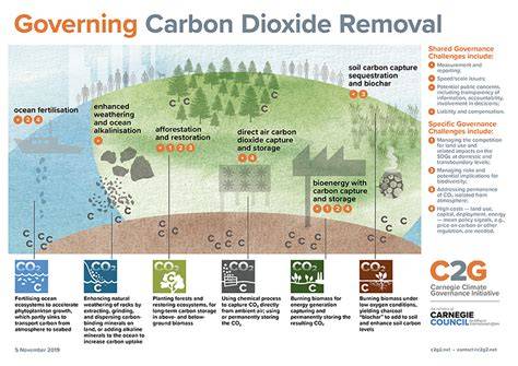 Carbon Dioxide Removal - NOAA Ocean Acidification … - raincitystudios.com
