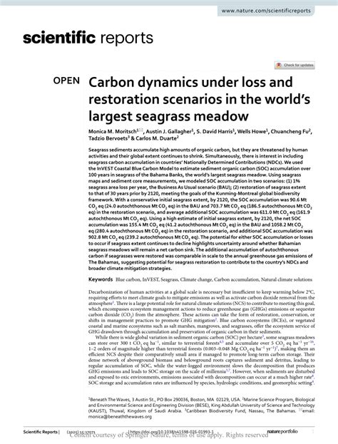 Carbon dynamics under loss and restoration scenarios … - muktibox.com