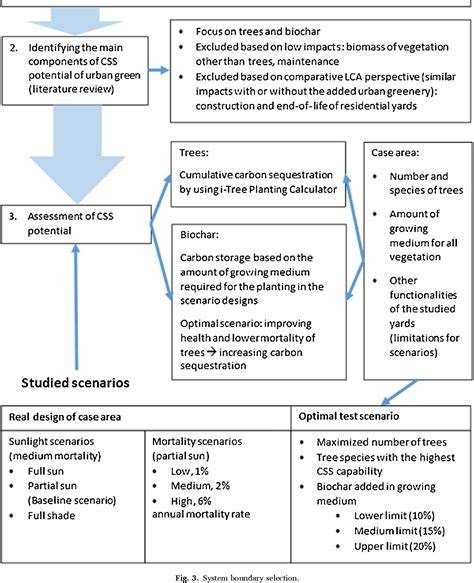 Carbon sequestration and storage potential of urban green in ... - raincitystudios.com