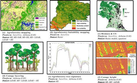 Carbon Sequestration Monitoring in Forestry Using GIS - raincitystudios.com