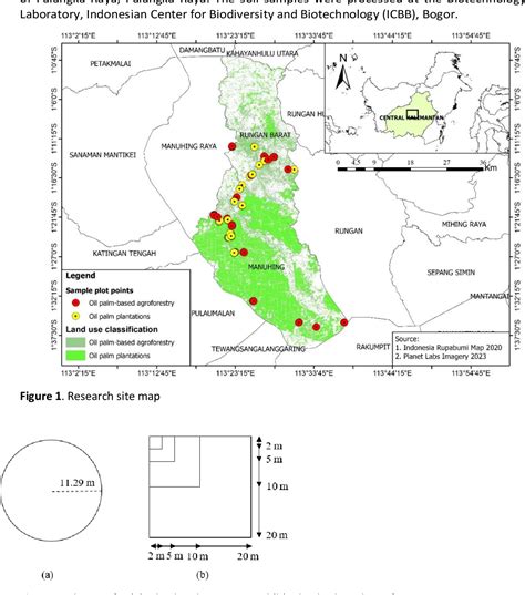 Carbon Stock Estimation on Oil Palm Plantations and Oil Palm ... - IPB - wintechmobiles.com
