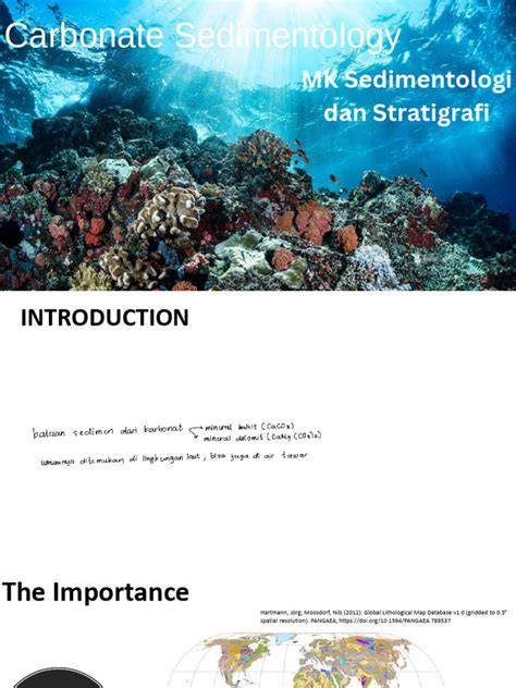 carbonate sedimentology Latest Research Papers | ScienceGate - raincitystudios.com