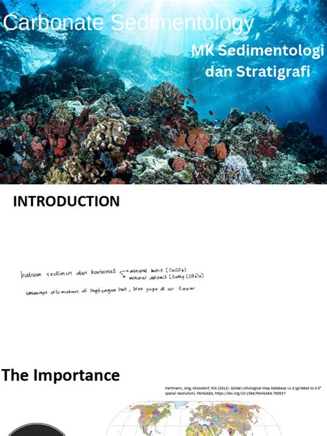 Carbonate Sedimentology Research Papers - Academia.edu - raincitystudios.com