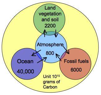 CarbonTracker CT2022 - NOAA Global Monitoring … - raincitystudios.com