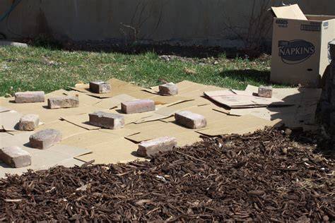 Cardboard Under Mulch - Good Grow - raincitystudios.com
