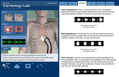 Cardiology Virtual Lab - BioInteractive - muktibox.com