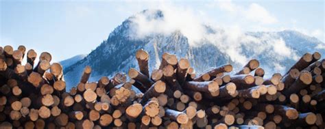 CAREERS – Thompson River Lumber