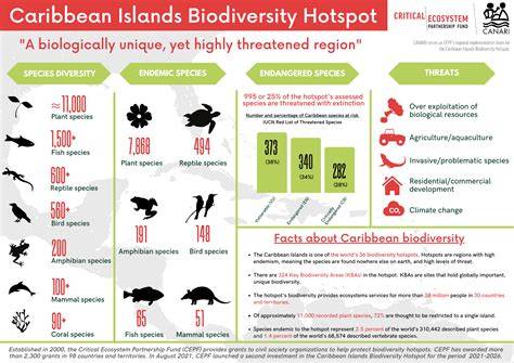 Caribbean Islands Biodiversity Hotspot - CEPF - raincitystudios.com