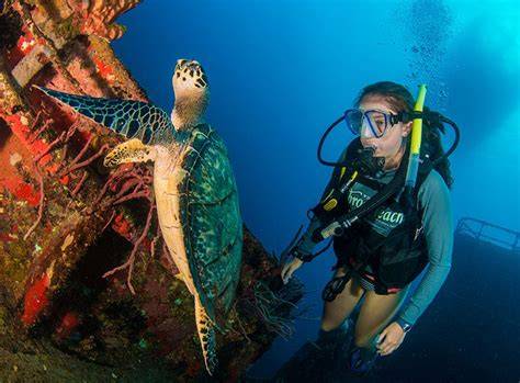 Caribbean Marine Biology Voyage - Broadreach - raincitystudios.com