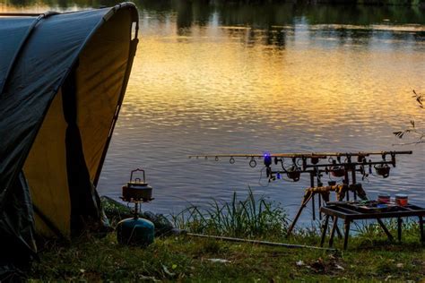 Carp Fishing a Beginners Guide - wintechmobiles.com