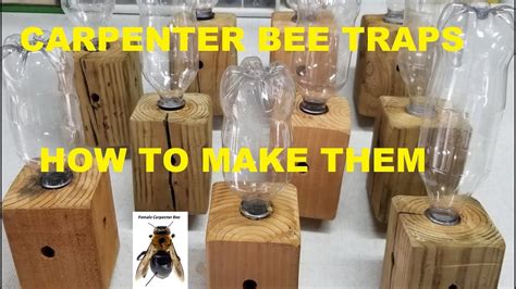 CARPENTER BEE TRAPS. How to make them and where to hang them. Simple