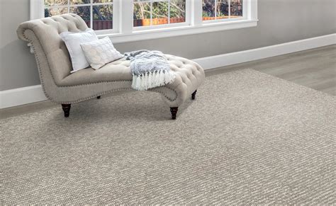 Carpet & Upholstery Cleaning in Charlotte | GHC … - coolestguyplanet.net