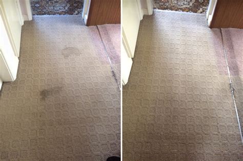 CARPET MAID - Carpet Cleaning - 57 Rutland Drive, Bury, Greater …