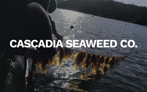 Cascadia Seaweed Showcases Launch of AI Marine Biodiversity - raincitystudios.com