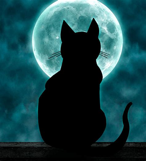 CAT IN THE MOON
