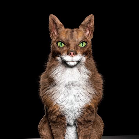 Cat Modeling & Pricing - Casualty Actuarial Society - coolestguyplanet.net