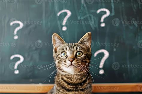 CAT Questions - Algebra: Progressions, 2IIM CAT 2023 online … - wintechmobiles.com