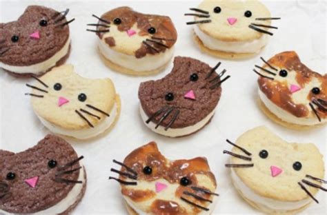 CAT THEMED FOOD RECIPES All You Need is Food - Stevehacks